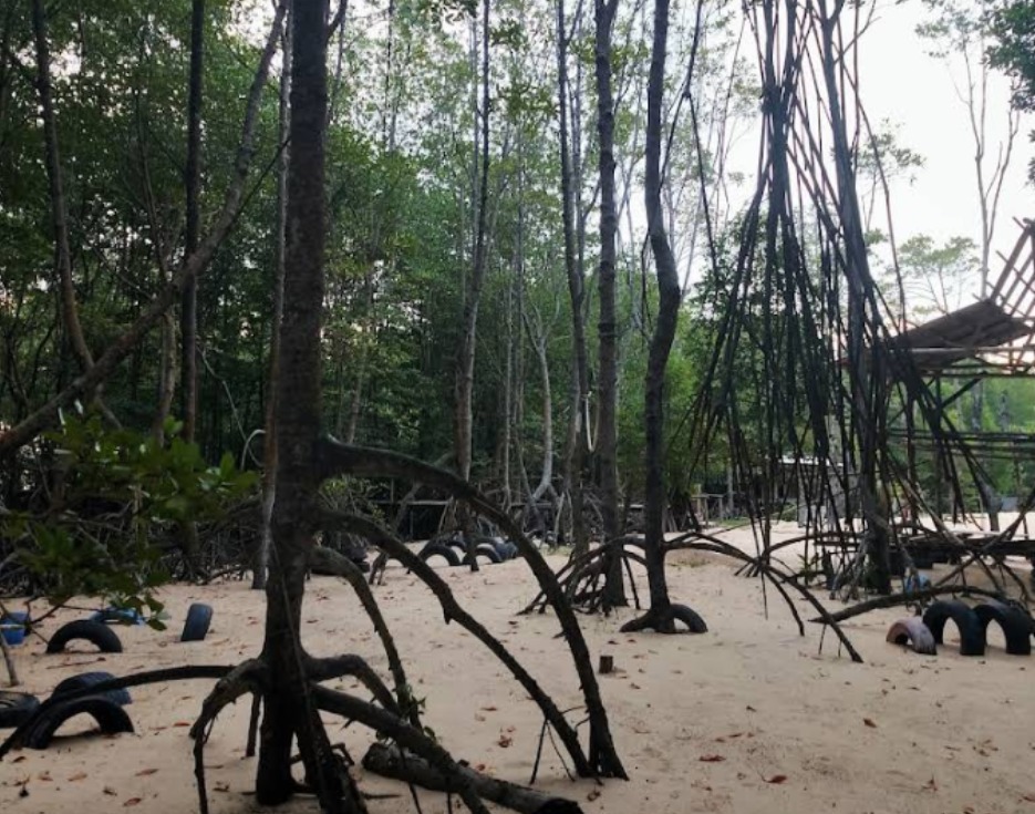 Pandang Tak Jemu Beach & Mangrove Ecotourism